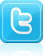 Twitter Icon